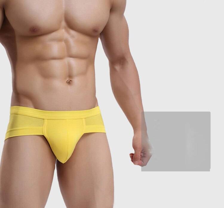 New Men Briefs Underwear Men's Sexy Briefs Underpants Modal Comfortable Mens Briefs Underwear Shorts Cueca Male Panties Solid