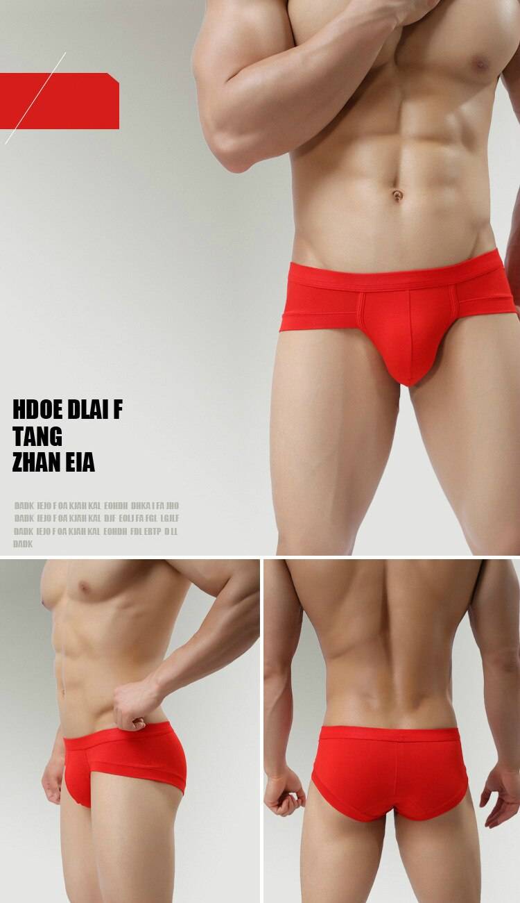 New Men Briefs Underwear Men's Sexy Briefs Underpants Modal Comfortable Mens Briefs Underwear Shorts Cueca Male Panties Solid