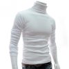 New Autumn Mens Sweaters Casual Male Turtleneck Men's Fashion 